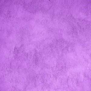 Meet your Posher, Sophia